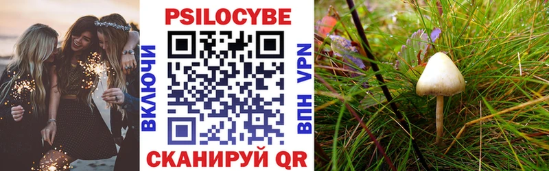 Галлюциногенные грибы GOLDEN TEACHER  Высоцк 